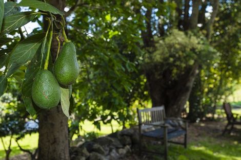 Photo of property in 1137 Matawai Road, Ormond, Gisborne, 4071