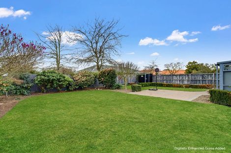 Photo of property in 44 Nixon Street, Tinwald, Ashburton, 7700