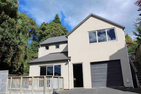 Photo of property in 45b Lees Street, Dunedin Central, Dunedin, 9016