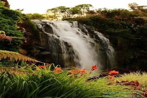 Photo of property in 56 Woodhouse Road, Patumahoe, Pukekohe, 2679