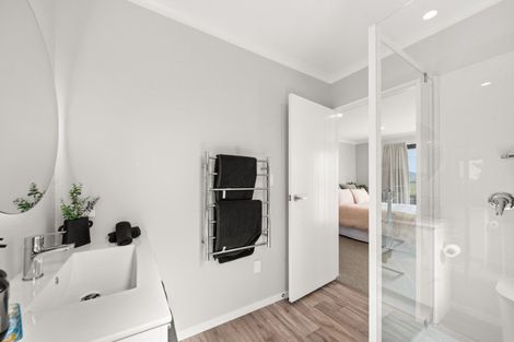 Photo of property in 27 Ferry Road, Martinborough, 5711