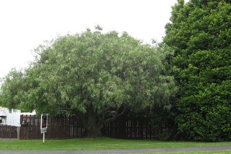 Photo of property in 38 Walter Strevens Drive, Conifer Grove, Takanini, 2112