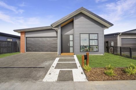 Photo of property in 31 Medway Place, Chartwell, Hamilton, 3210