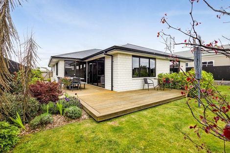 Photo of property in 69 Wilson Street, Hawera, 4610