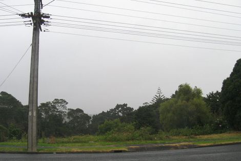 Photo of property in 44 Coronation Road, Hillcrest, Auckland, 0627