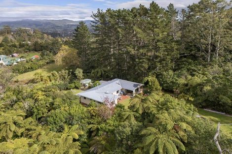 Photo of property in 175 Bulltown Road, Waihi, 3610