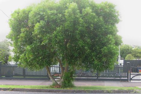 Photo of property in 20 Abbotsford Terrace, Devonport, Auckland, 0624