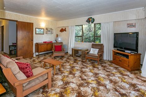 Photo of property in 460 Tiki Sh25 Road, Coromandel, 3506