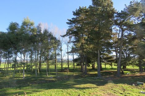 Photo of property in 157 Irvine Road, Herbert, Oamaru, 9495