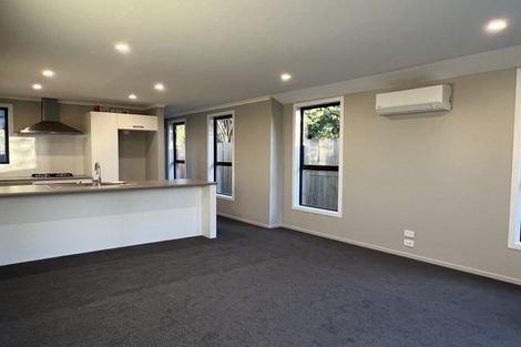 Photo of property in 4/41 Kenney Crescent, Fairfield, Hamilton, 3214