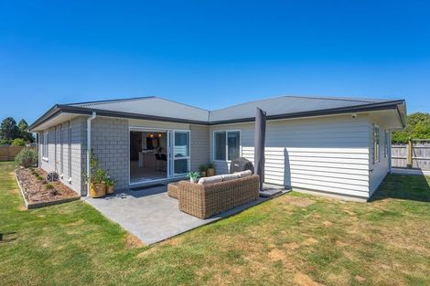 Photo of property in 12 Gardner Place, Otaki, 5512