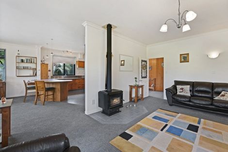 Photo of property in 420 Foxton Shannon Road, Foxton, 4893