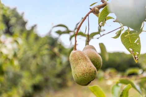 Photo of property in 103 Neudorf Road, Upper Moutere, 7175