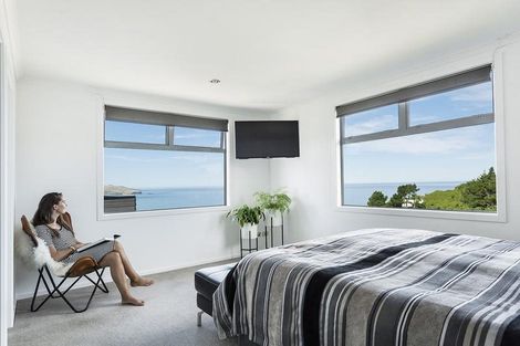 Photo of property in 4c Clayton Street, Saint Clair, Dunedin, 9012