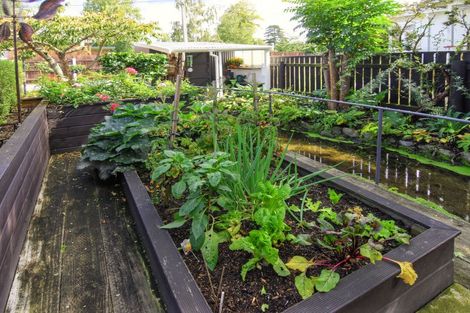 Photo of property in 68 York Street, Solway, Masterton, 5810