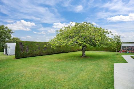 Photo of property in 224 Mill Road South, Seaward Bush, Invercargill, 9871
