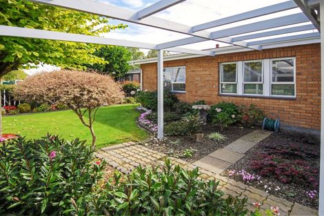 Photo of property in 68 York Street, Solway, Masterton, 5810