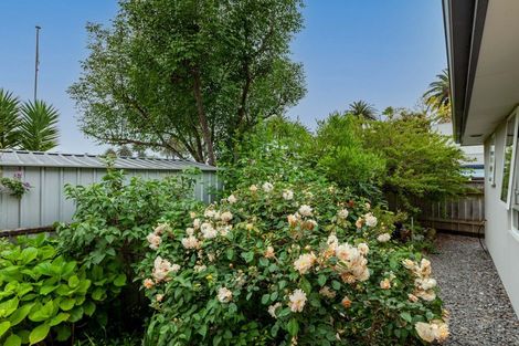 Photo of property in 17a Jull Street, Napier South, Napier, 4110