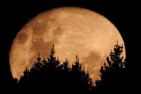 Photo of property in 76 Riwai Street, Paraparaumu, 5032