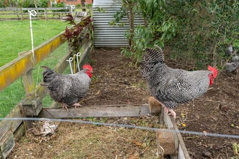 Photo of property in 107 Marychurch Road, Pukemoremore, Cambridge, 3493