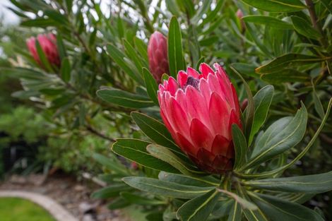 Photo of property in 85 Riverstone Drive, Riverstone Terraces, Upper Hutt, 5018