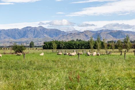 Photo of property in 143 Culverden Road, Culverden, 7392