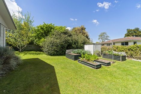 Photo of property in 8 Park Place, Richmond Heights, Taupo, 3330