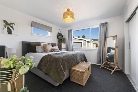 Photo of property in 108 Brecon Road, Stratford, 4332