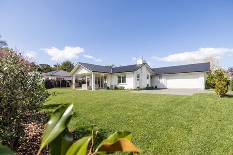 Photo of property in 11 Margaret Avenue, Havelock North, 4130
