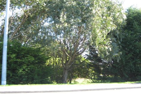 Photo of property in 368 Main South Road, Paroa, Greymouth, 7805