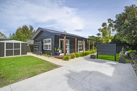 Photo of property in 419a Massey Street, Akina, Hastings, 4122