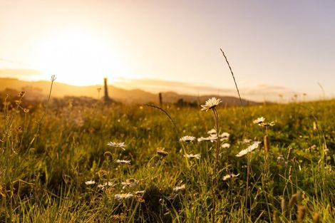 Photo of property in 406 Old Kaipara Road, Kaipara Flats, Warkworth, 0981