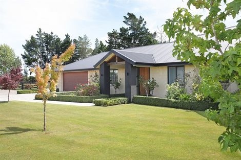 Photo of property in 255 Calico Line, Marton, 4787