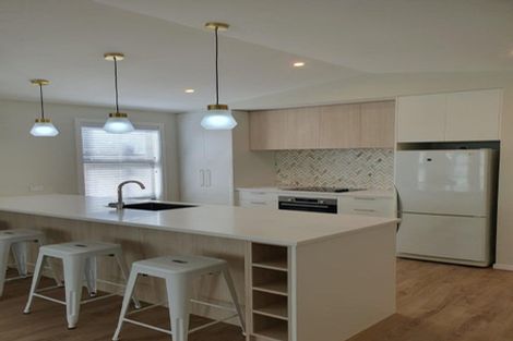 Photo of property in 33 Vintage Street, Cromwell, 9310