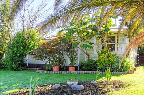 Photo of property in 24 Fergusson Street, Solway, Masterton, 5810