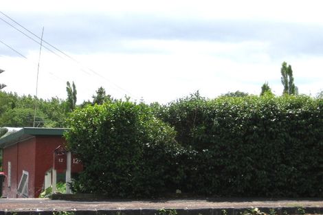 Photo of property in 12 Allen Road, Grey Lynn, Auckland, 1021