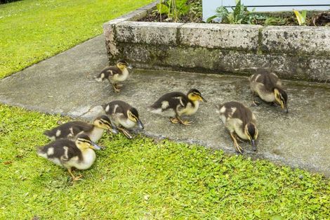 Photo of property in 20a Blue Mountains Road, Silverstream, Upper Hutt, 5019