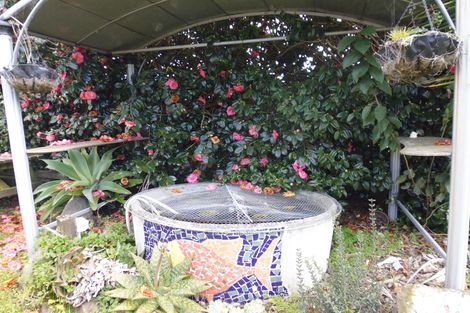 Photo of property in 2 Kowhai Avenue, Edgecumbe, 3120