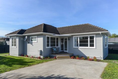 Photo of property in 900 Clive Street, Akina, Hastings, 4122