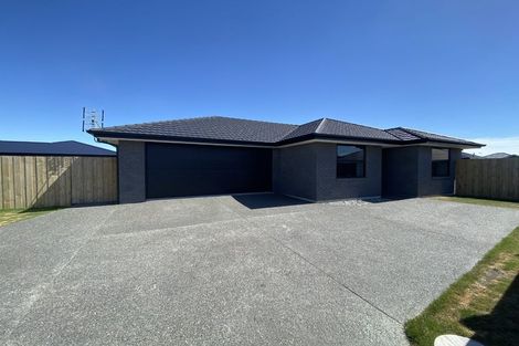 Photo of property in 24 Lotus Place, Wigram, Christchurch, 8025