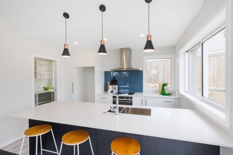 Photo of property in 26a Homelands Avenue, Feilding, 4702