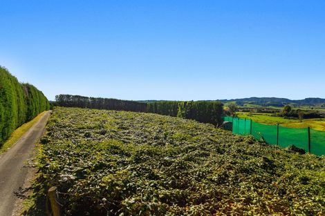 Photo of property in 31 Clark Cross Road, Otara, Opotiki, 3197