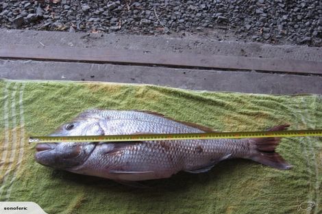 Photo of property in 355 Kimberley Road, Houhora, Pukenui, 0484