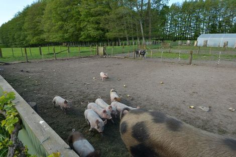 Photo of property in 48 Belk Road South, Omanawa, Tauranga, 3173