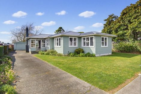 Photo of property in 12 Collingwood Street, Levin, 5510