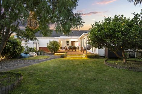 Photo of property in 24 Limbrick Street, Terrace End, Palmerston North, 4410