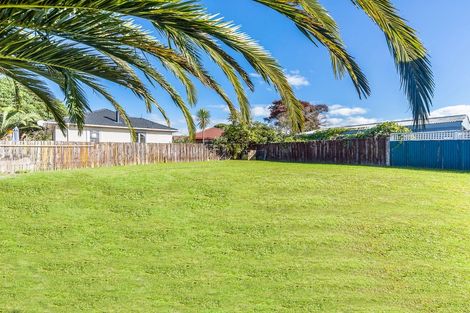 Photo of property in 8 Binsted Road, New Lynn, Auckland, 0600