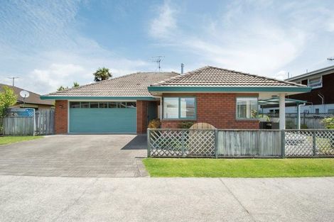 Photo of property in 209a Maungatapu Road, Maungatapu, Tauranga, 3112