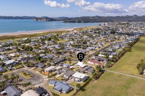 Photo of property in 24 Wells Place, Whitianga, 3510