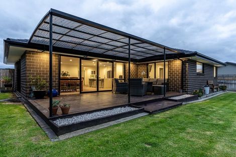 Photo of property in 1 Sudeng Street, Levin, 5510